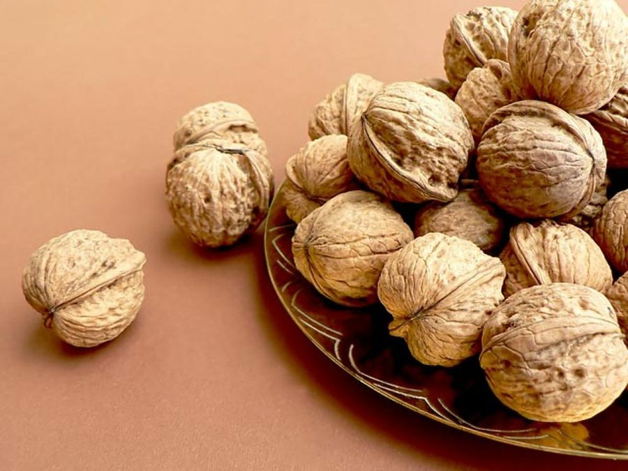 nueces