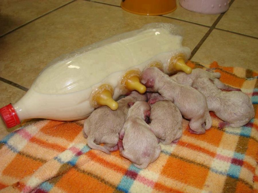 Imagen 6