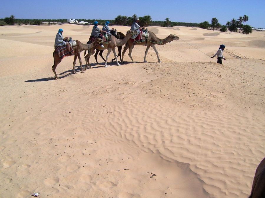 Túnez. Vacaciones 2008