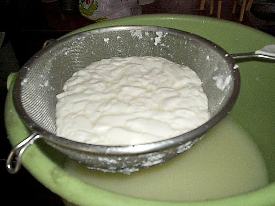 leche fermentada