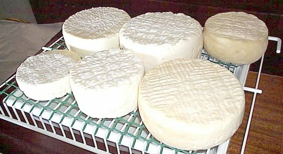 quesos