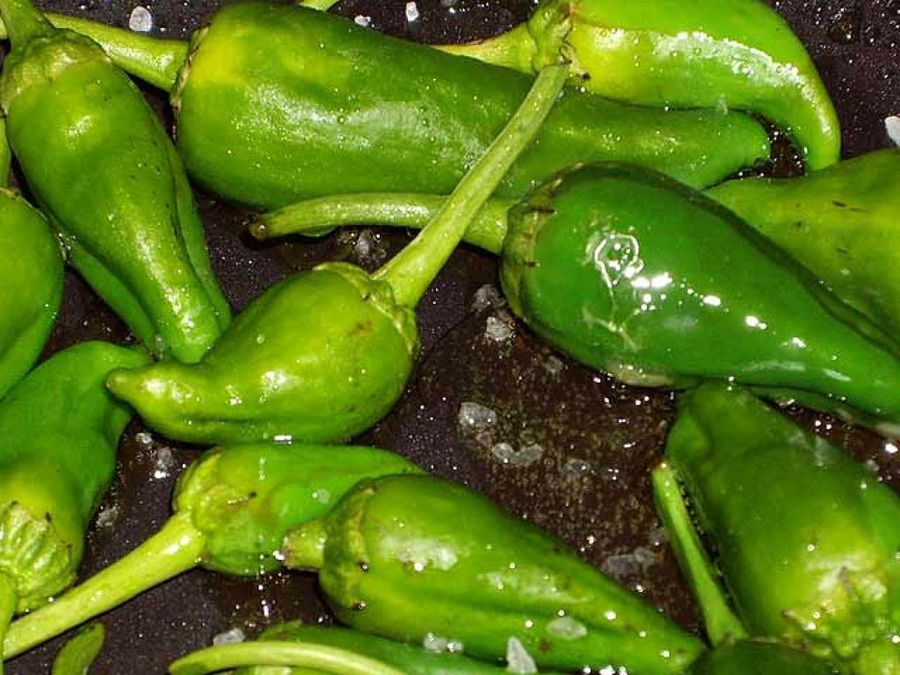 Pimientos