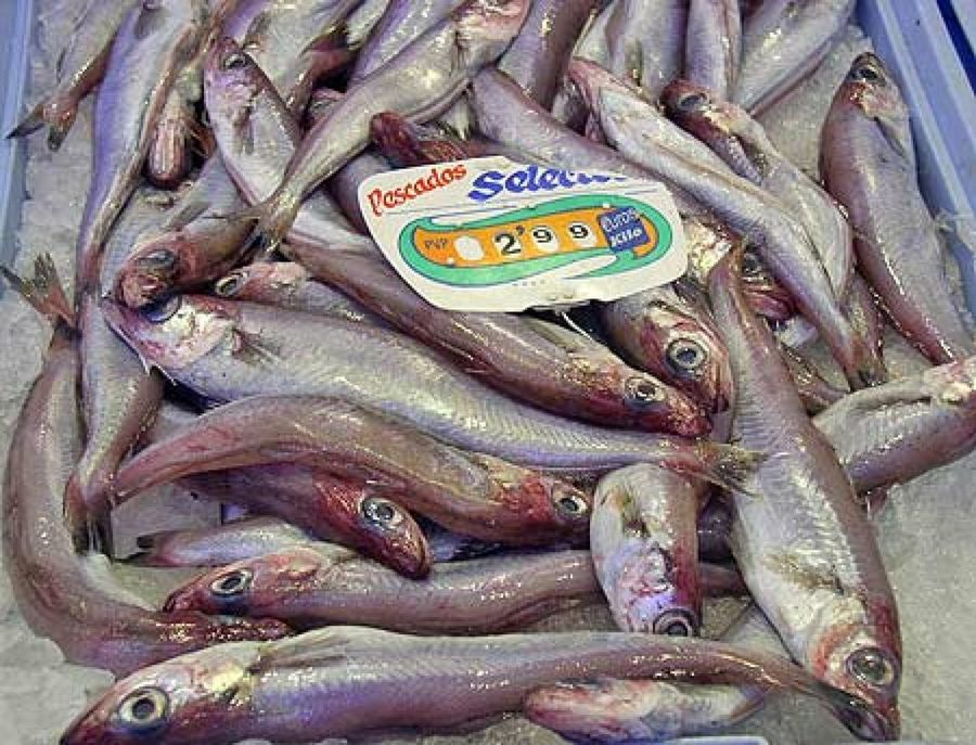 pescado