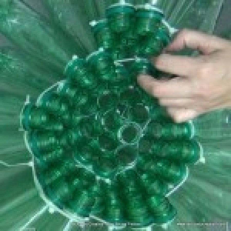 Imagen 10