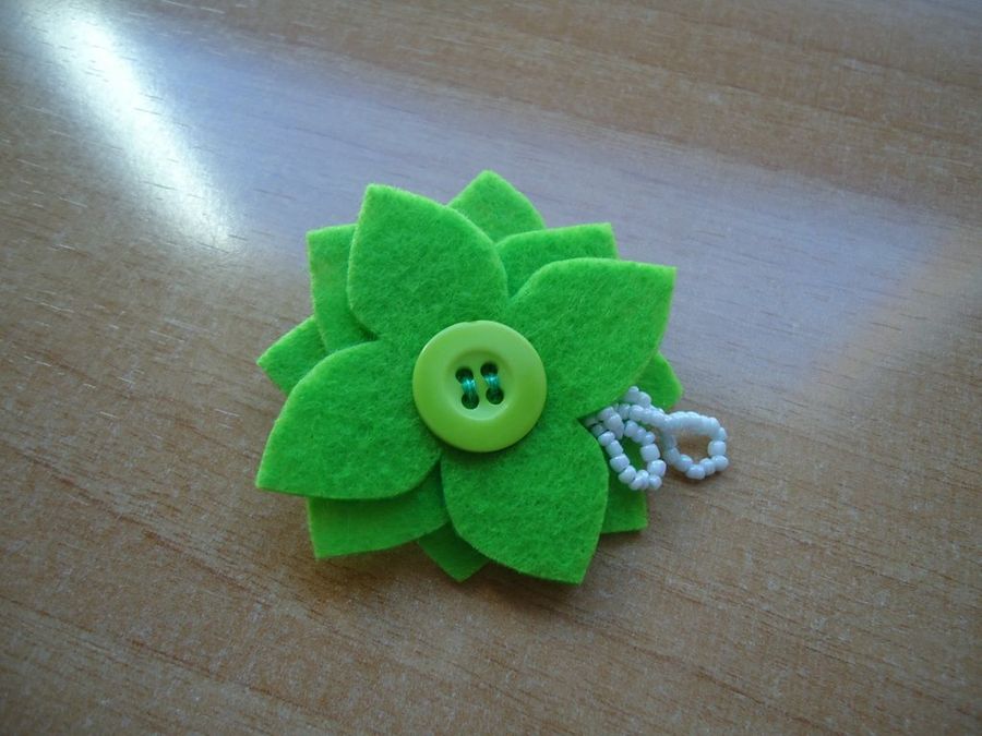 Imagen 6