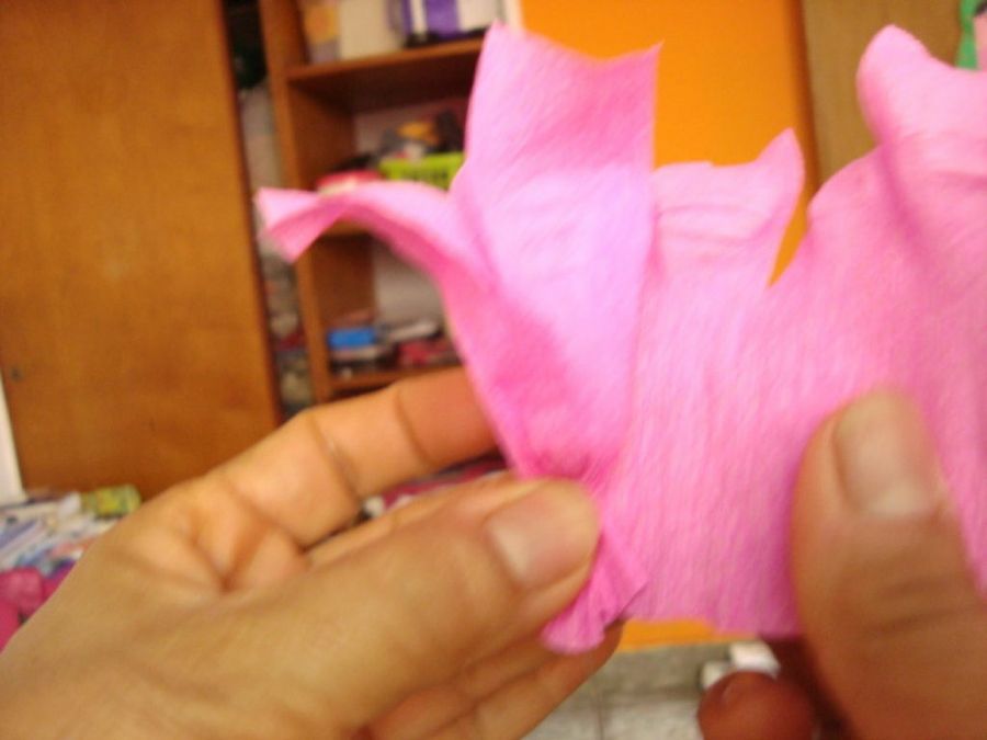 Imagen 4