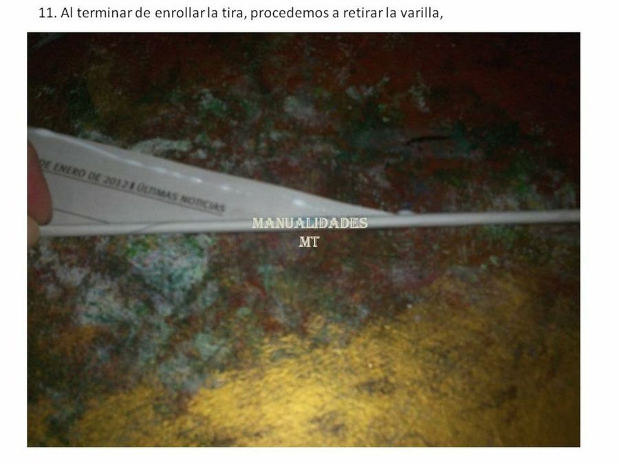 Imagen 15