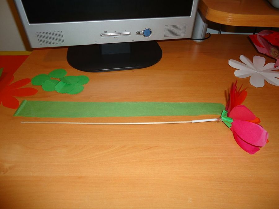 Imagen 5