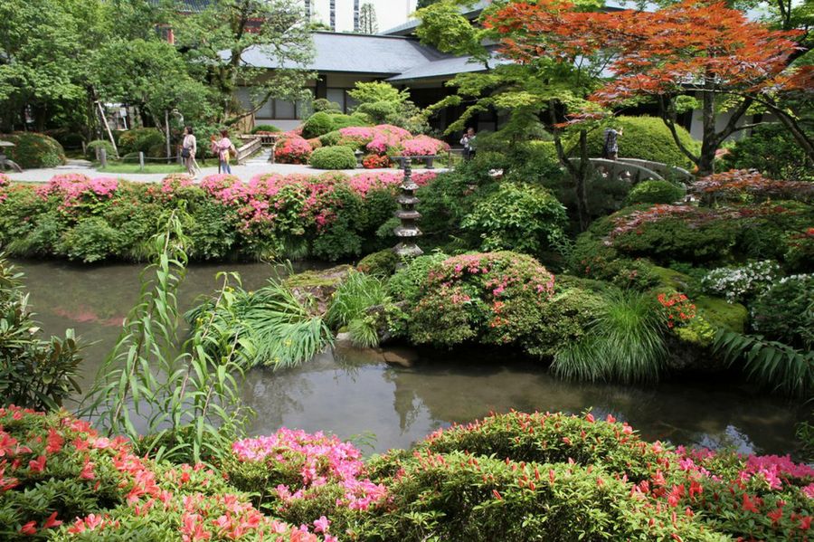 Jardín japonés
