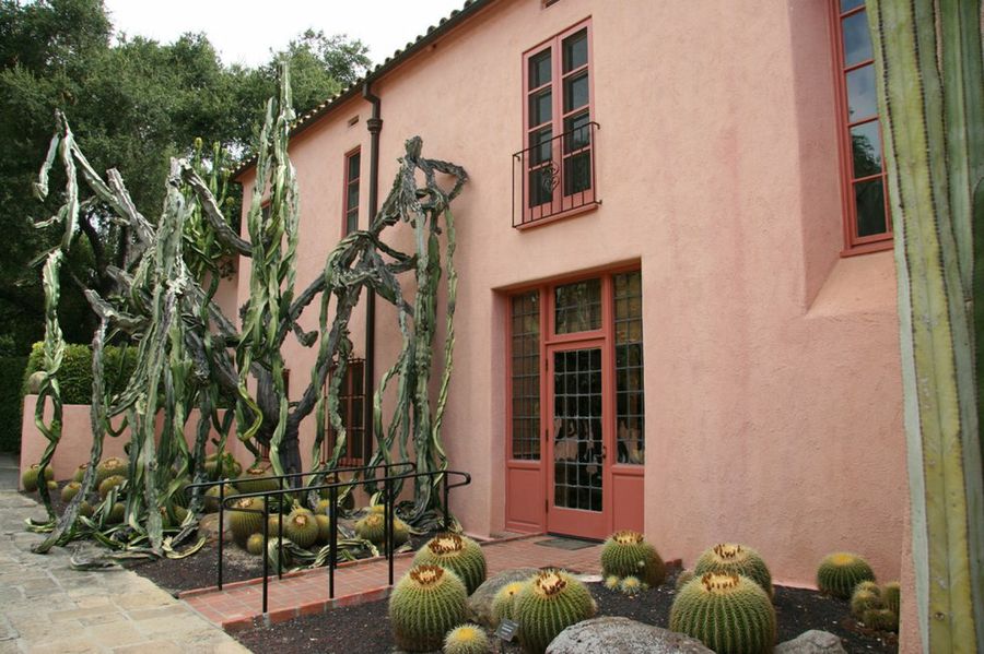 Echinocactus grusonii