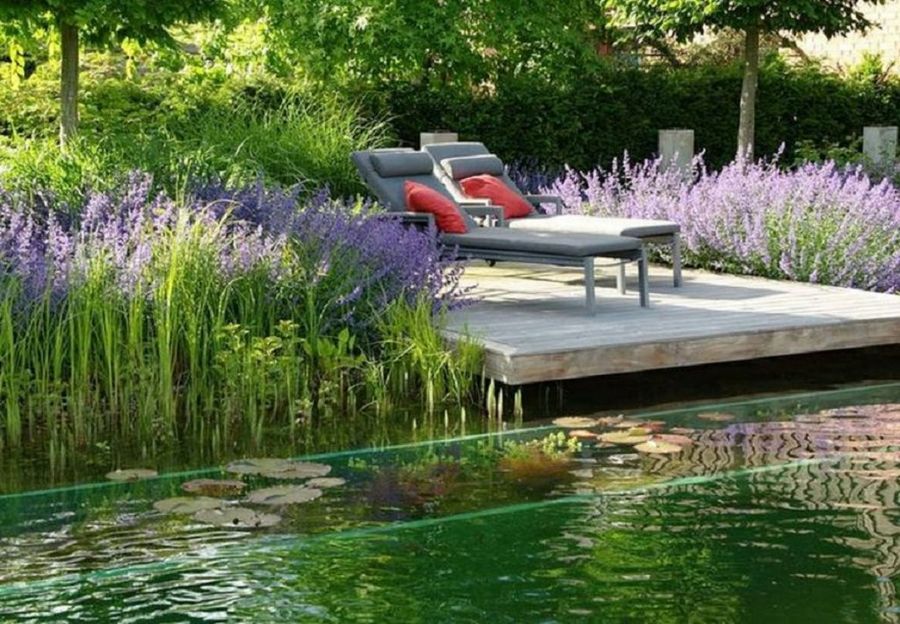 Jardines que inspiran | Plantas
