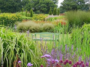 Jardines inspiradores: imágenes demostrativas | Plantas