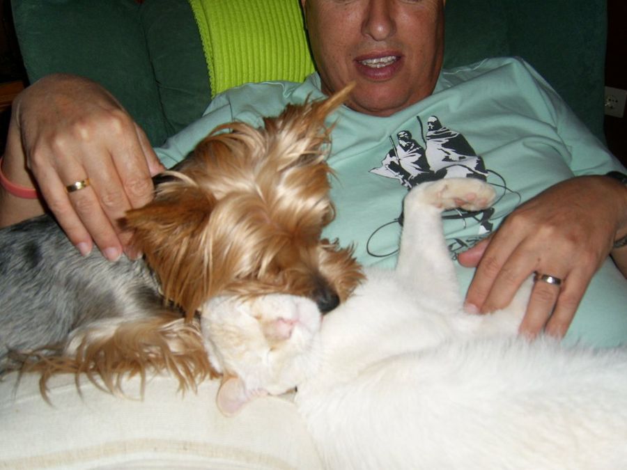 Imagen 4