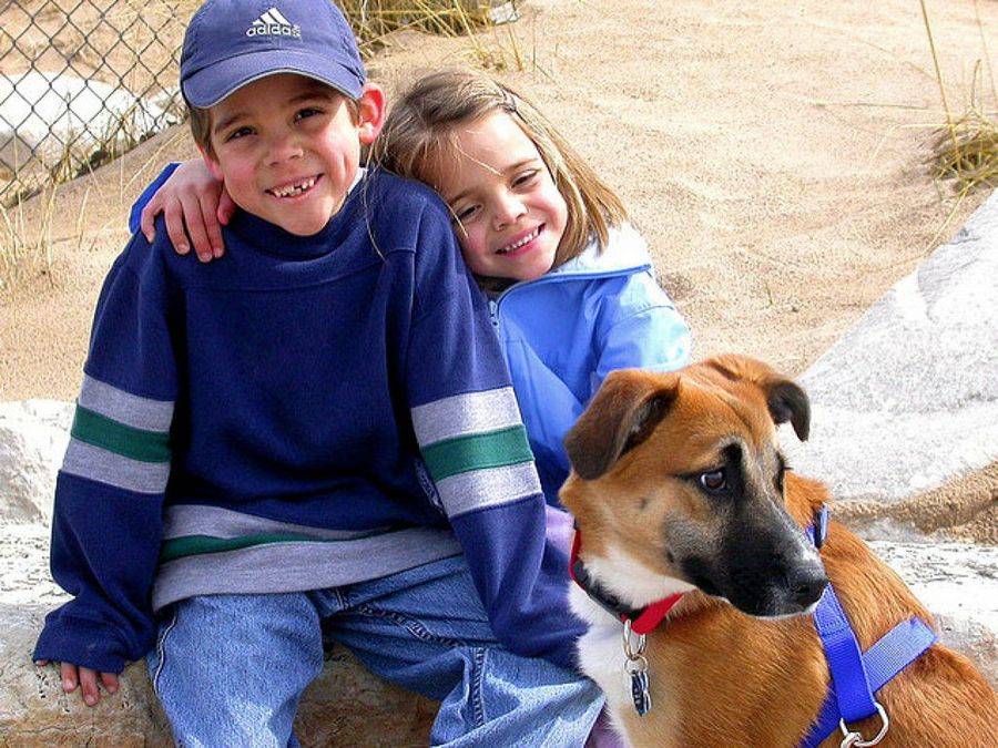 perro y bebé
