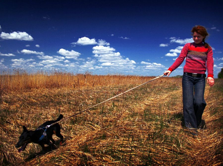 Paseando perro