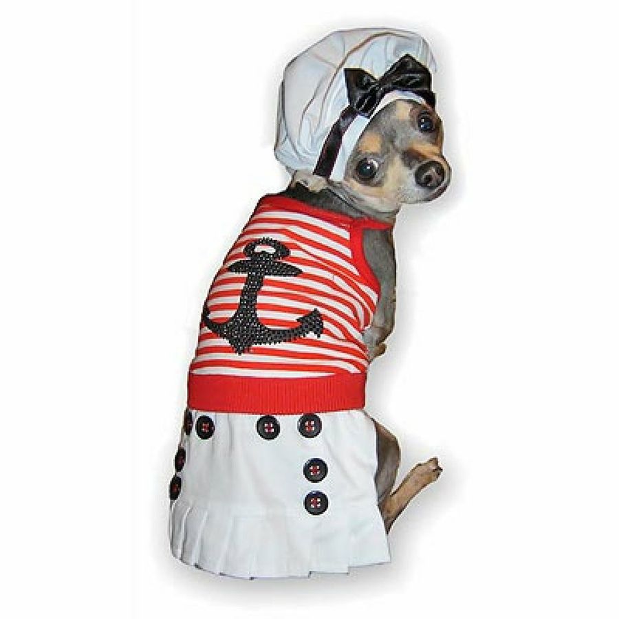 perro con vestido marinero