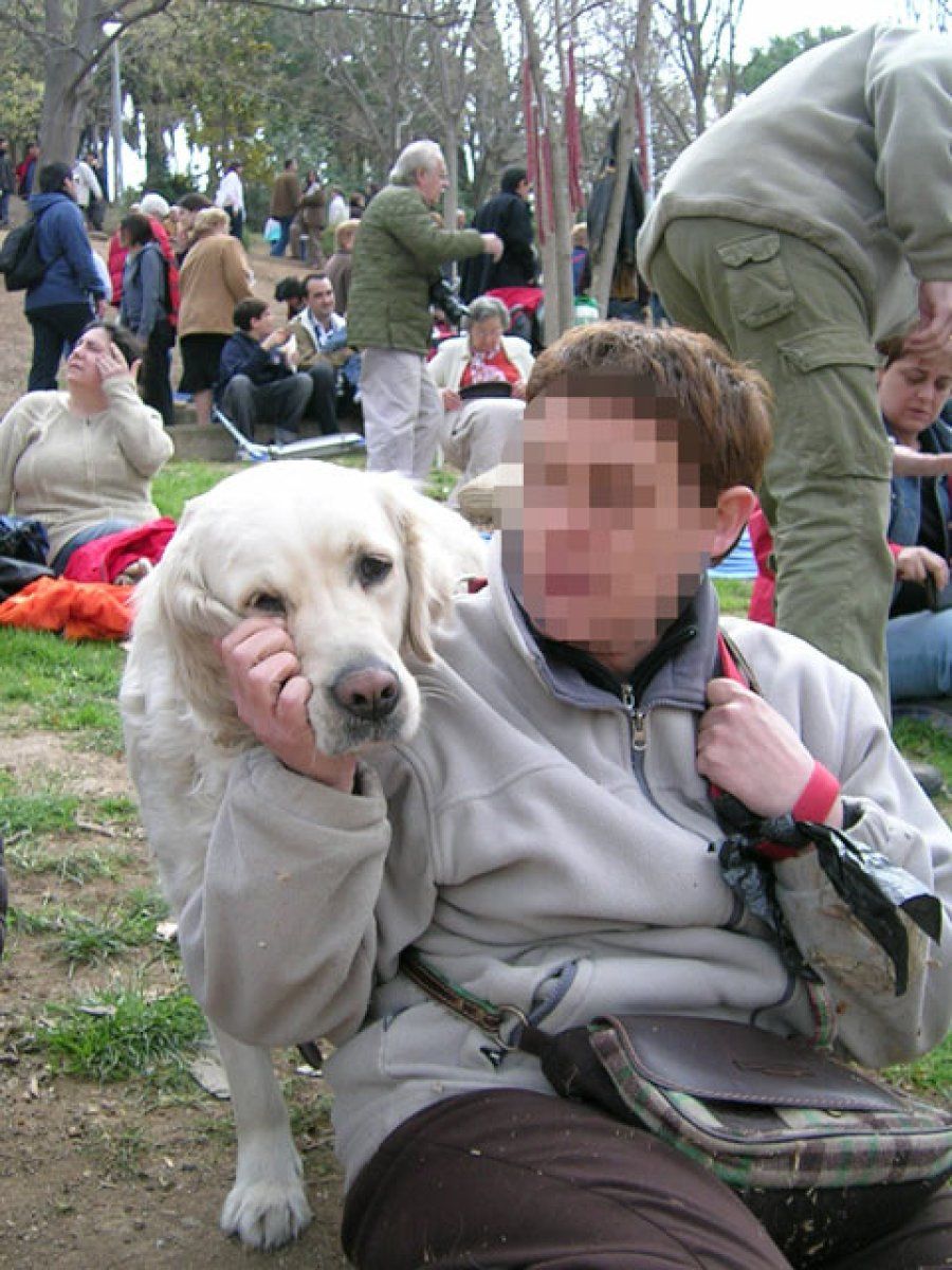 labrador