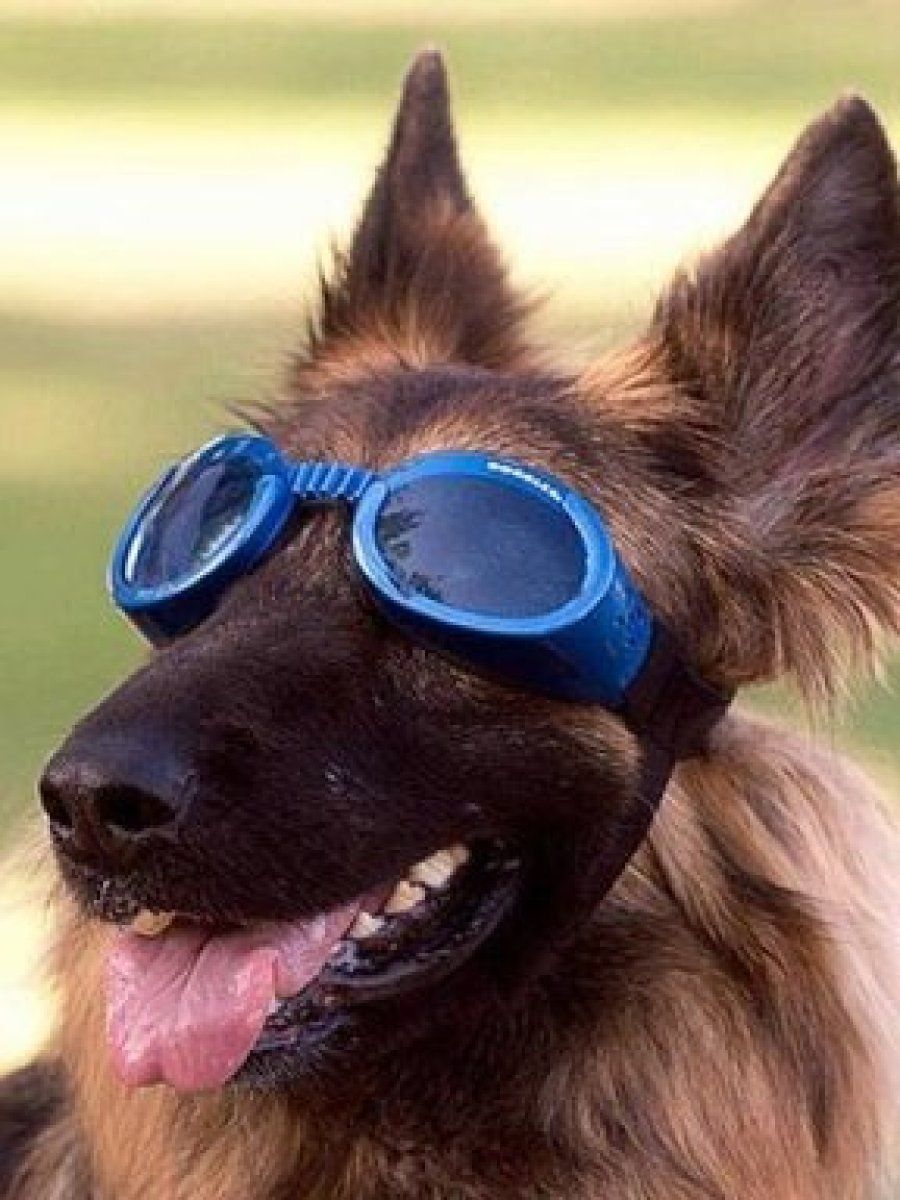 complementos contra el sol