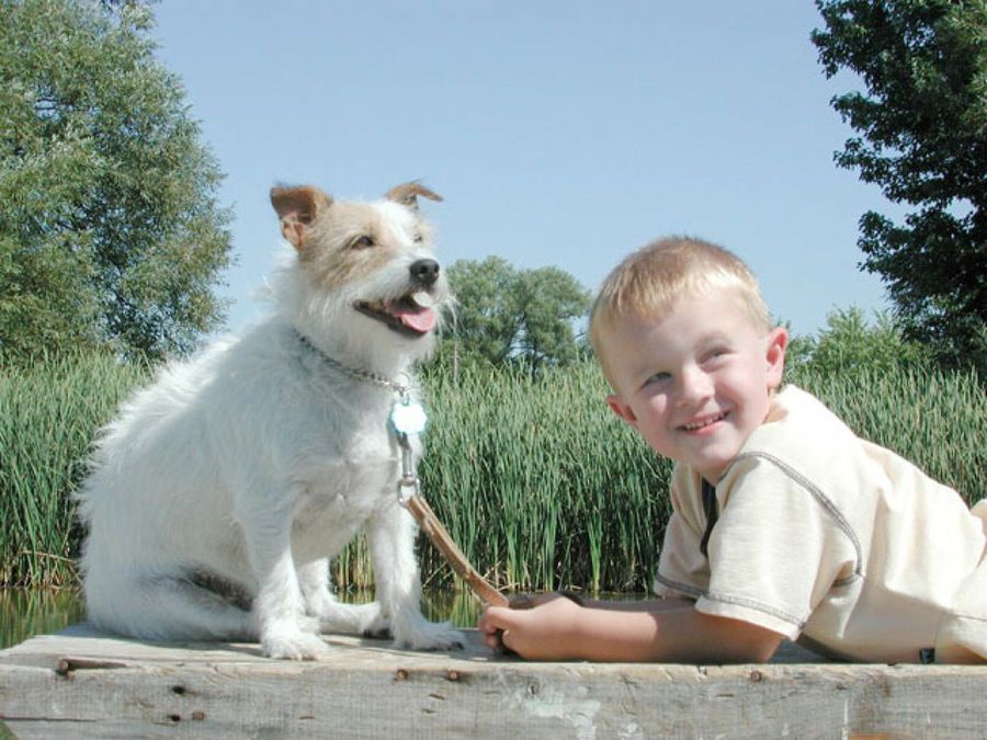 niño y perro