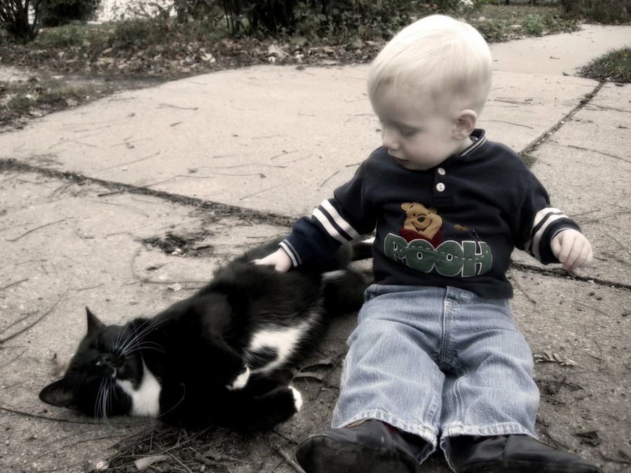 Niño y perro