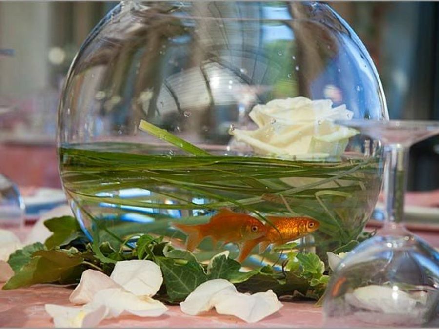 centro de mesa con peces