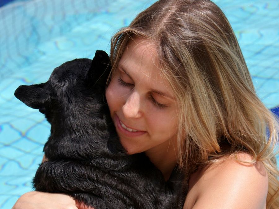 Mascota en la piscina