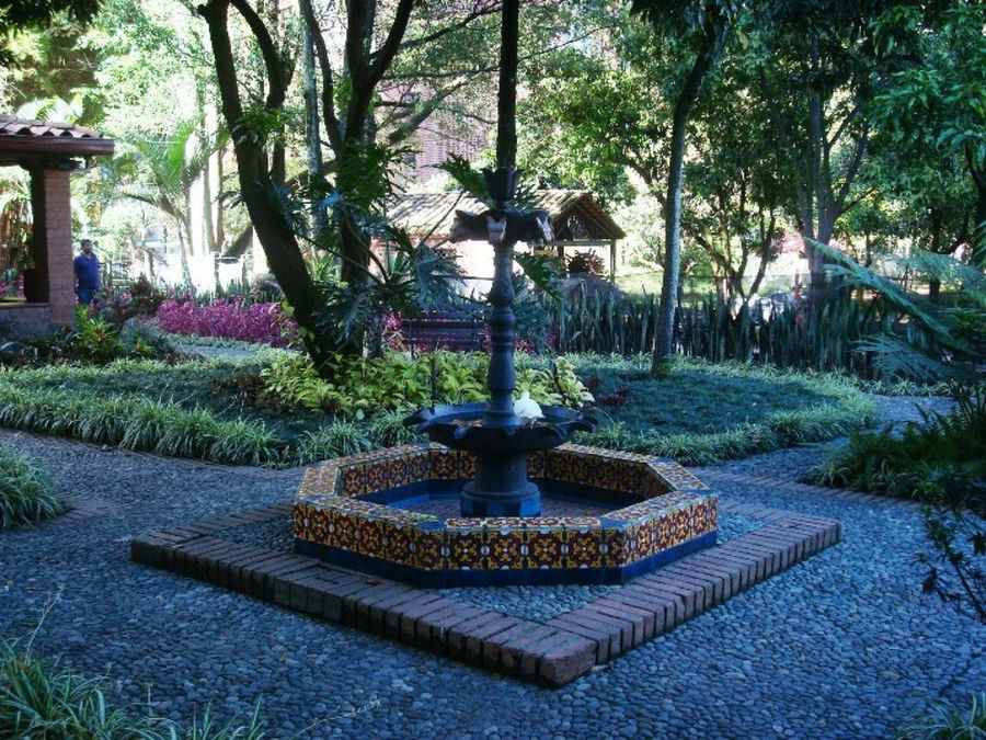 Imagen 3