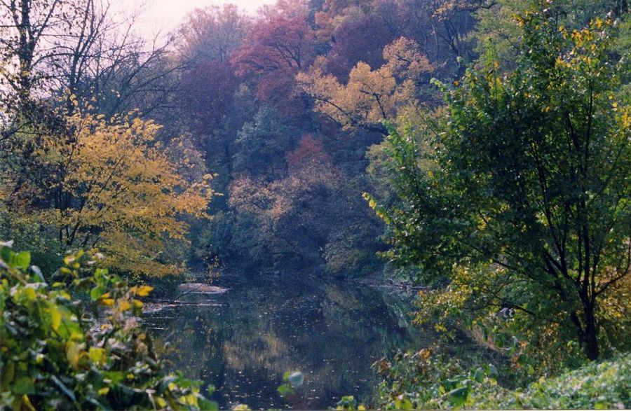 Fairmount Park - Flickr - david55king