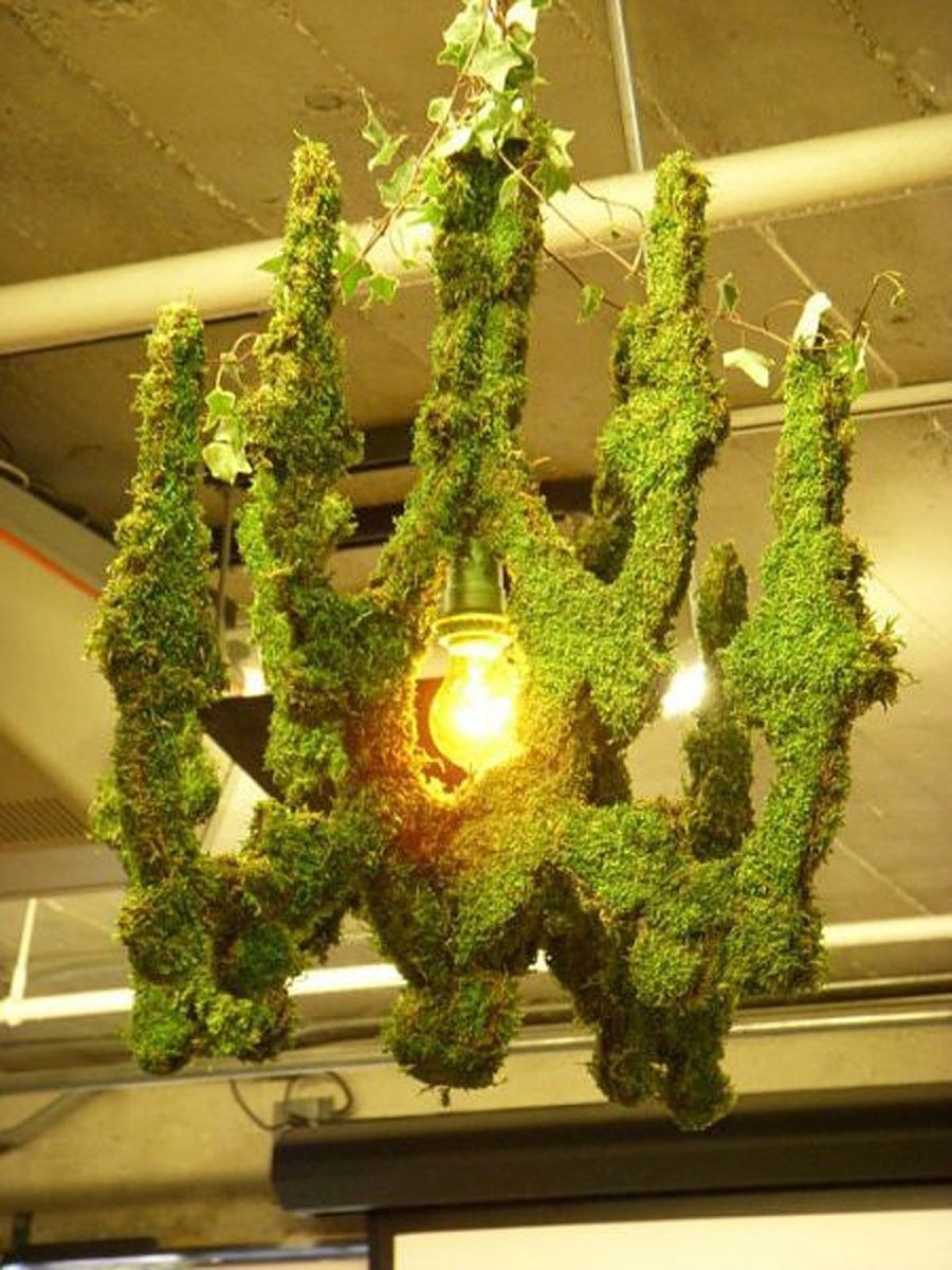 Lámpara de Musgo (Edina Tokodi) - Inhabitat