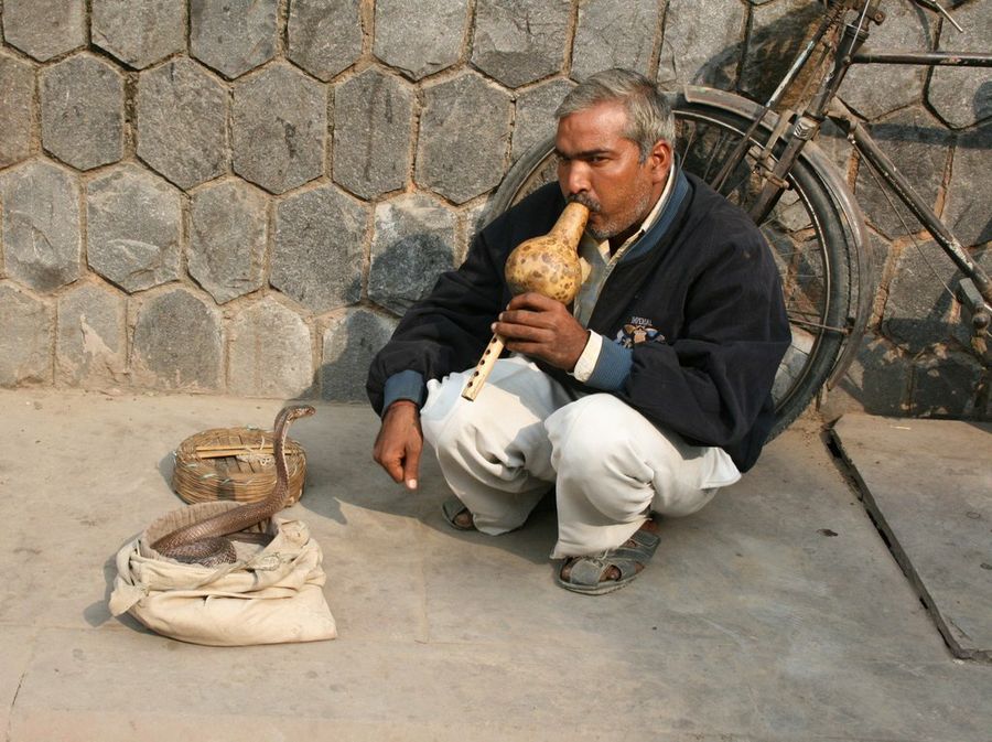 Encantador de Serpientes - Poco a Poco