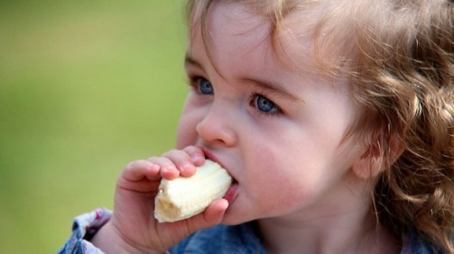 alimentacion saludable