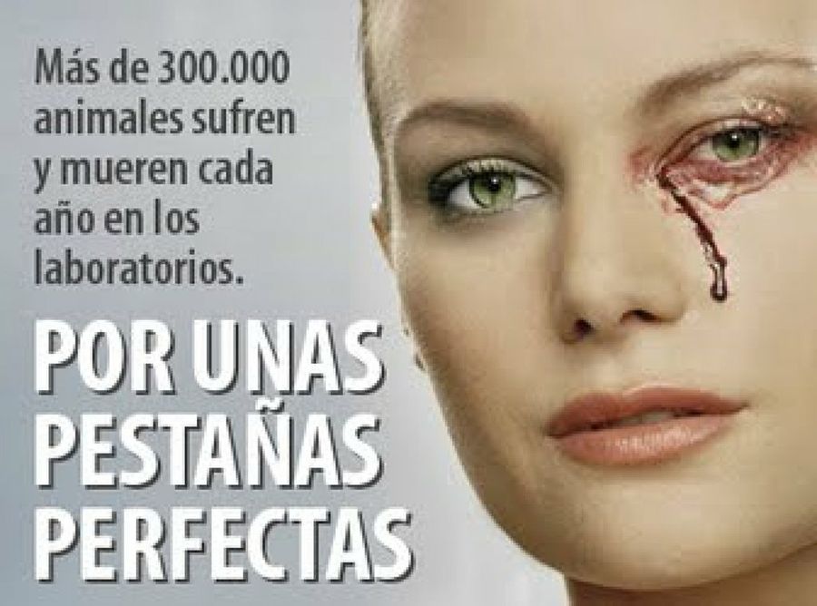 Imagen 2