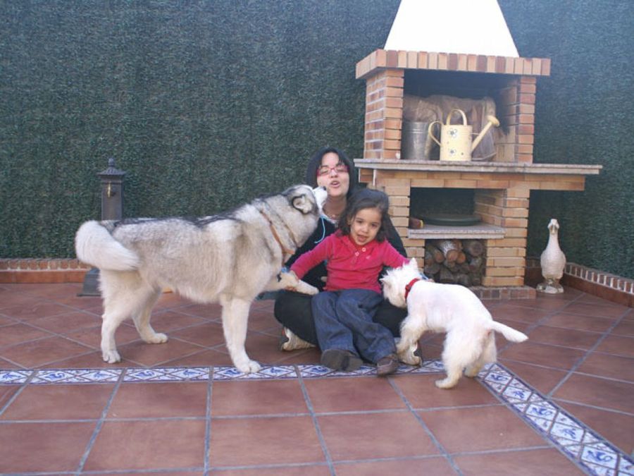 Narú y su hija con perros