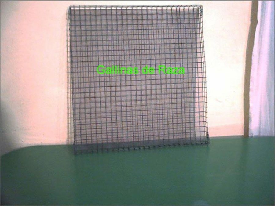 rejilla porta huevos