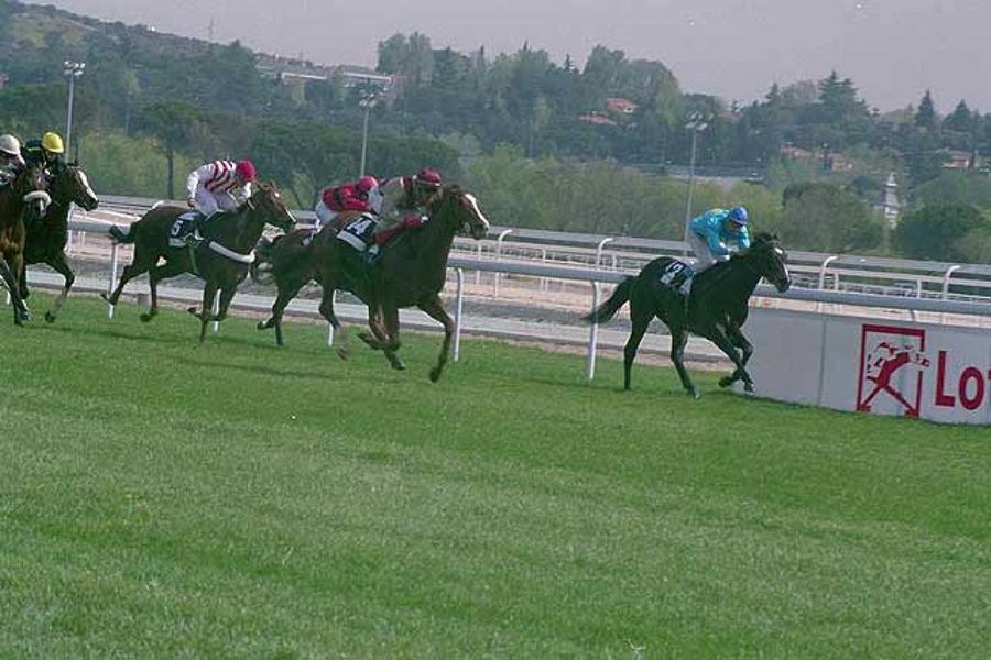 carrera de caballos