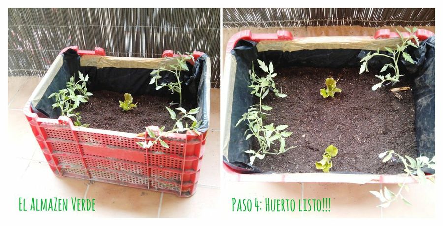 Imagen 3