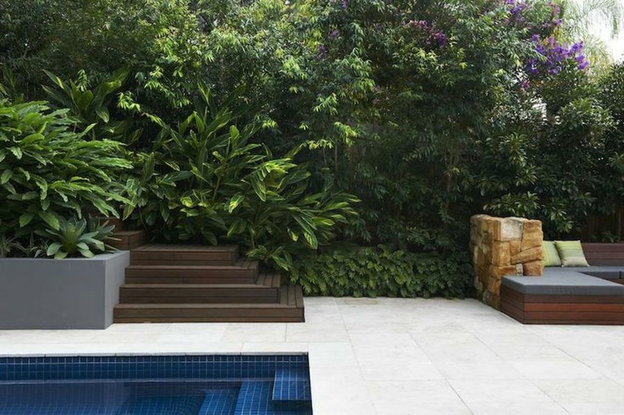 Jardines contemporáneos: ideas para decorar espacios abiertos | Plantas