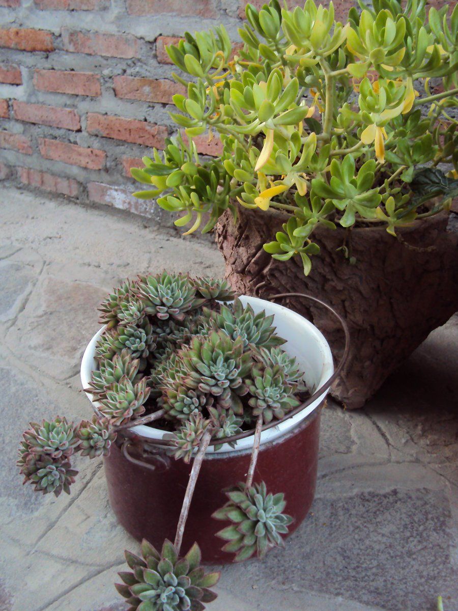 Imagen 10