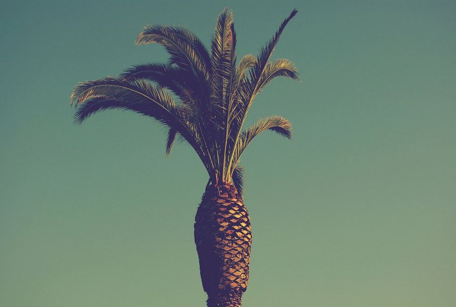 Imagen 0