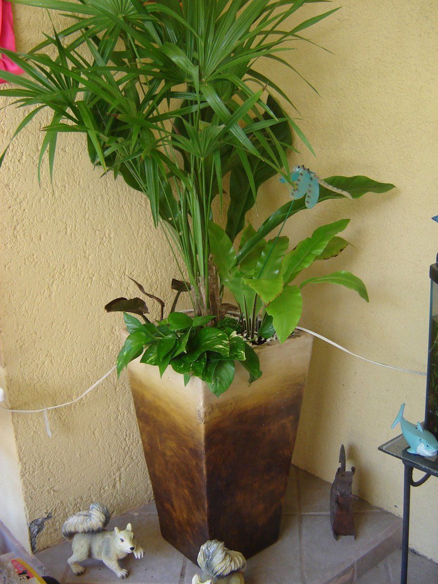 Imagen 1