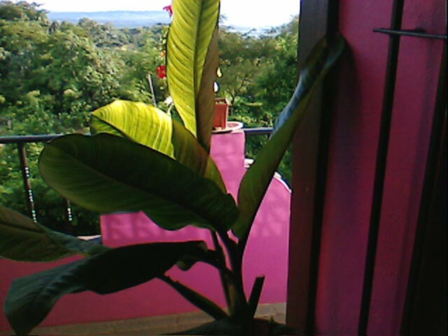 Imagen 10