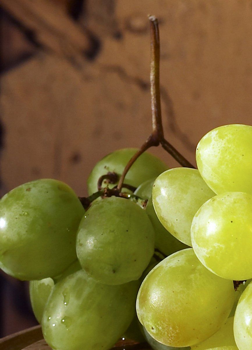 Uvas