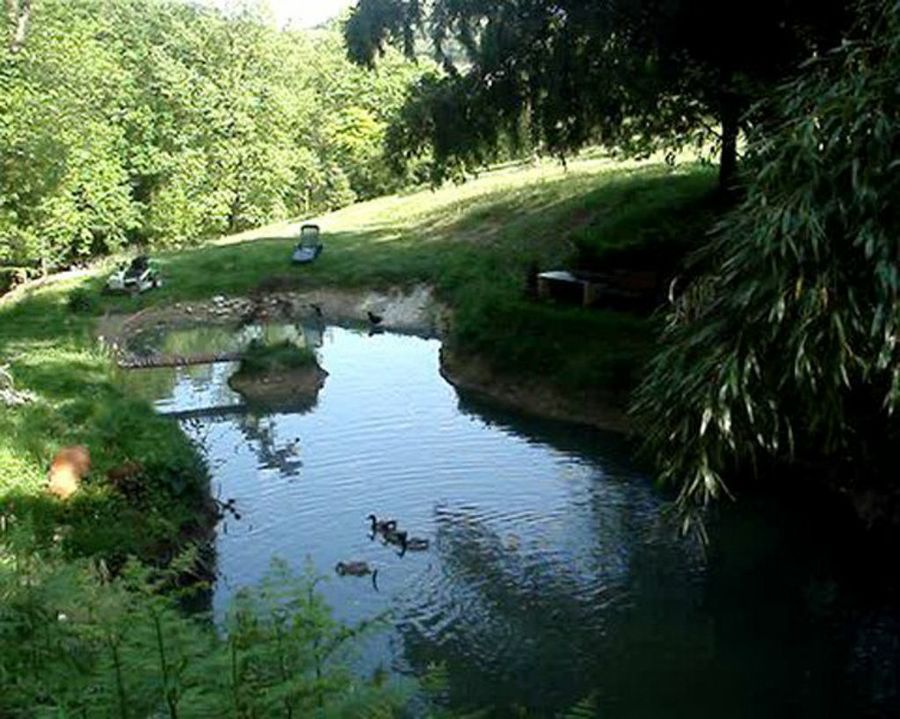 Jardín