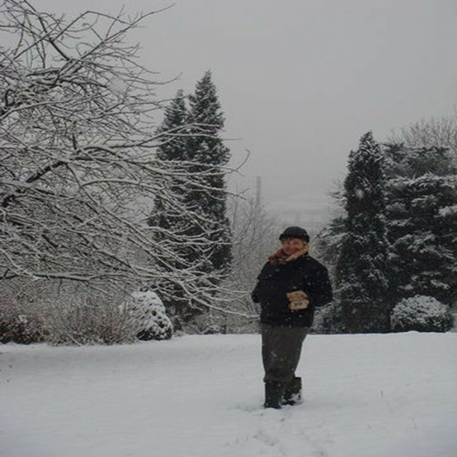 Bosque nevado