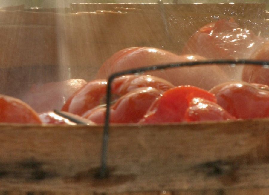 Tomates