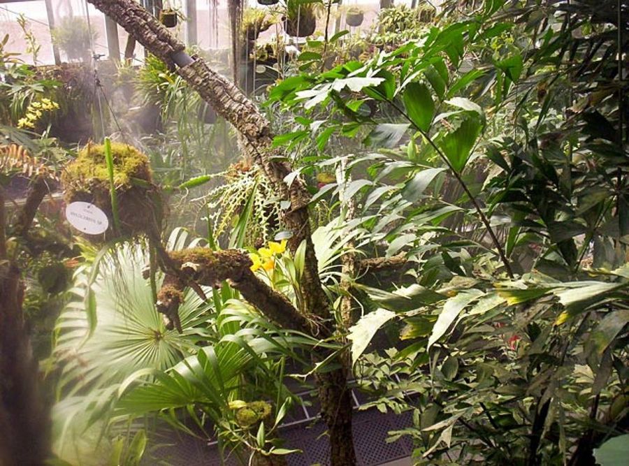jardín botánico