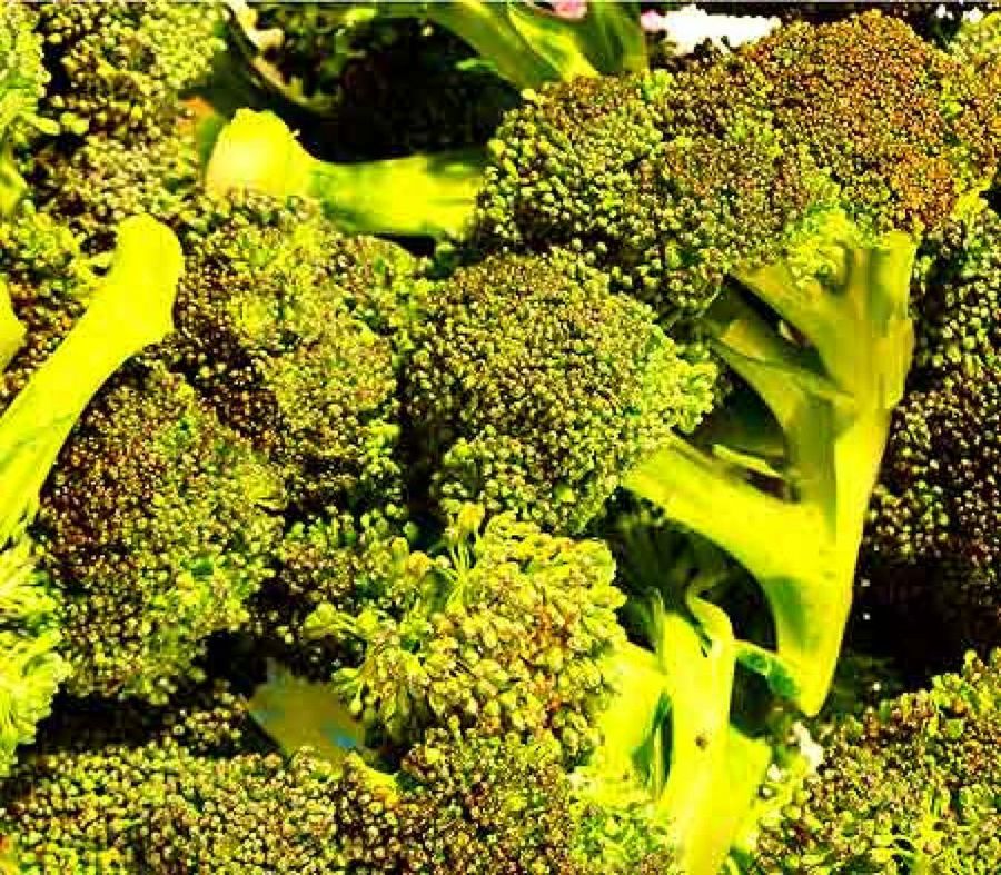 Brócoli