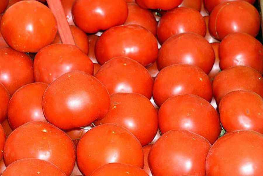 Tomates
