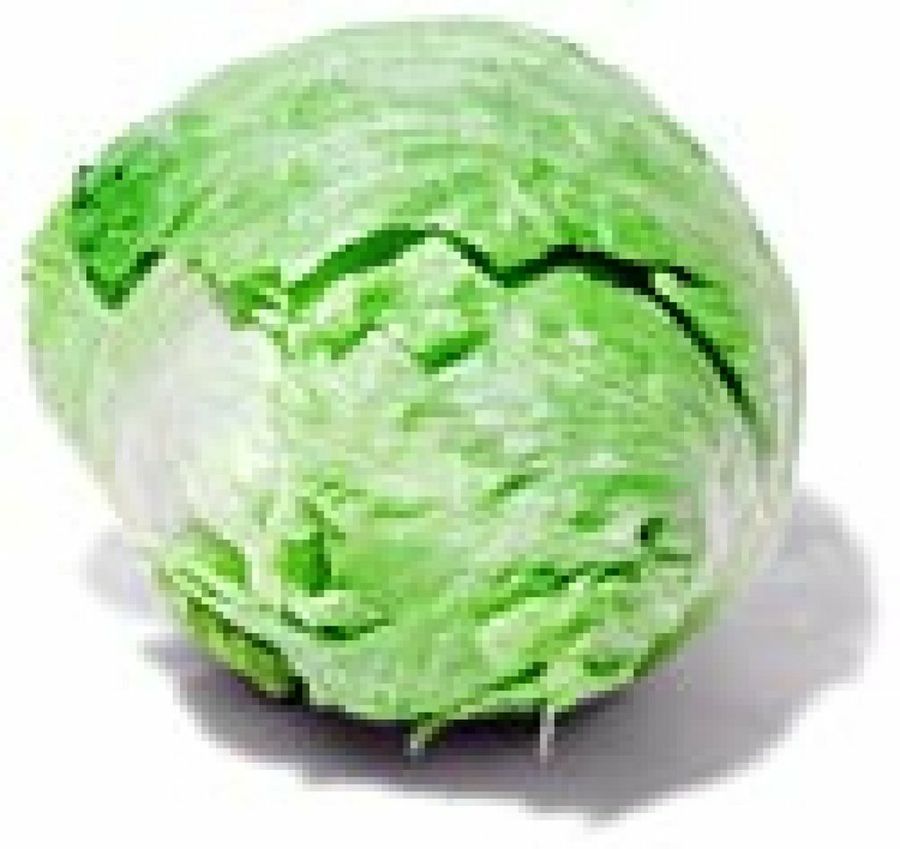Lechuga