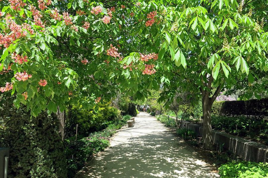 Jardín mayo